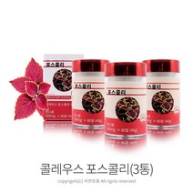 슈퍼푸드 콜레우스 포스콜리 정(500mgx80알) 빨간맛 콜레우스포스콜리 추출물, 3통