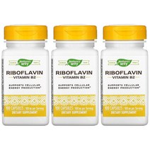 네이쳐스웨이 리보플라빈 비타민B2 100mg 100정 3병, 1개, 기본