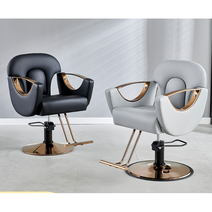 데스크퓨쳐 미용실의자 미용의자 네일샵의자 메이크업의자 미용가구 미용실가구 커트의자 미용실시술의자, 고급 그레이 + 전기도금 티타늄
