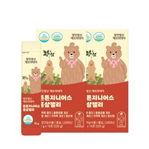 장인정신 에브리데이 튼튼지니어스 6년근 국산 홍삼젤리, 2개입, 15g*15포
