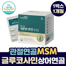 관절 연골 통증 N 아세틸 글루코사민 MSM 상어연골 해조 분말 보스웰리아 초록 푸른 그린 청 파란 입 잎 홍합 강황 무릎 허리 건강 어깨 손목 손가락 뼈 마디 에 좋은 영양제