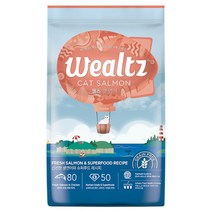 웰츠 연어 고양이 사료, 6kg, 1개