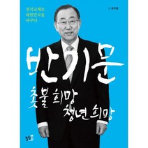 반기문 촛불 희망 청년 희망 : 정치교체로 대한민국을 바꾸다