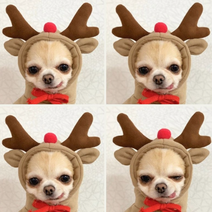 루돌프 st 귀여운 강아지 후드티 소형견 프랜치 불독 말티즈 시츄 옷 순록 사슴 디자인, 하트L