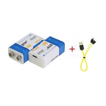 (으뜸몰100) 9 V 1000mAh리튬 이온 충전식 배터리 마이크로 USB 배터리 9 v 리튬 멀티미터 마이크 장난감 리모콘 KTV 9 볼트 리튬이온 충전지 마이크로 USB, 2PC and Cable