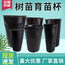 묘목 컵 비닐포트 영양 그릇 플라스틱 특수 모양의 모종 냄비 얇은 고영양 가방 일회용, 15. 두껍고 둥근 입 1525 1,000