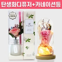탄생화 디퓨저 선물 세트 6월 탄생화 장미 핑크 + 카네이션 무드등 어버이날 부모님 엄마 장모님 생신 선생님 생일 프리저브드 집들이 선물 실내 디퓨저 실내방향제 디퓨져, 튤립, 300ml