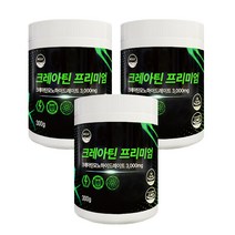 웰리즈 크레아틴 프리미엄 300g 모노하이드레이트 헬스보충제, 3개(6개월분) 900g