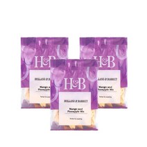 홀랜드앤바랫 망고 파인애플 피스 100g Holland & Barrett Mango Pineapple Pieces, 3팩