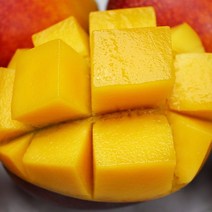 산지직송 당도가득 풍부한 달콤한 제주 애플망고 중과2kg, 단품