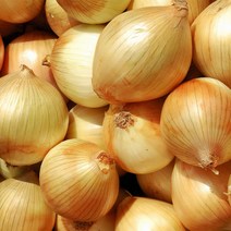 쿡네이처 국내산 무농약 무안 햇양파, 장아찌용, 5kg