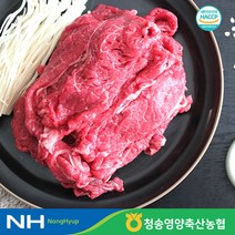 산지직송 청송영양축협 1등급 명품 한우 불고기 설도 300g, 단품없음