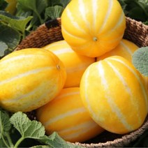 성주 참외 꿀 고당도 제철 가정용, h)성주참외 3kg (혼합)