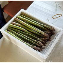 국내산 강원도 생 아스파라거스 빼빼주스, 1kg, 대