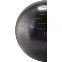 Gymnic Plus 터짐 방지 운동 볼(65cm)
