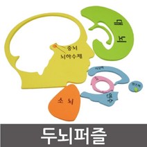 어린이 인체모형 두뇌퍼즐 신체모형 어린이과학 실링