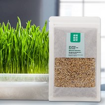 국산 새싹보리씨앗 1kg (500g x 2봉) 지퍼백 소포장 l 컽보리 보리새싹 키우기