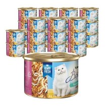 뉴트리나 비스트로 참치와 멸치 고양이캔 160g 24개, 160g x 24개