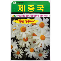 제충국꽃씨앗200립 천연살충