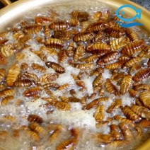 바다더해 냉동 번데기 4kg 국민간식 주전부리 술안주, 1개, 4000g