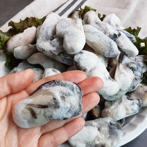 산지직송 통실통실 통영 냉동굴 제철 깐 알 봉지 굴 1kg, 1개