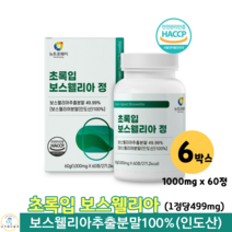 초록입 보수웰리아 보스웰리아 추출 분말 정 인도산 보스웰릭산 초록입홍합 보스엘리아 보수웰리아 60대 70대 여성 남성 관절 영양제 1000mg x 60정, 6박스