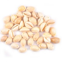 조개화석 암모나이트 화석 50 2 구멍 공예 에 대 한 천연 베이지 색 나선형 껍질 홈, 20-22mm