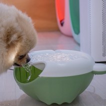 반려동물 자동 순환 급수대 Waterer 그린/블랙 강아지 물 그릇, 화이트+그린