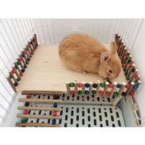 chol 토끼용 실목 계단 울타리, 대호