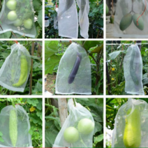 곤충 방지 포도 봉투 샤인머스켓 과수 과일 방충 특수 방수 봉지 재배 보관 야채 유튜브 커버 주머니 가방, 20x30cm, G_투명 30장