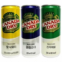 BN 카나다드라이 250mlX30캔X2박스 토닉워터 스파클링 맛있는 탄산수 대용량 추천, 3)카나다드라이 진저엘250mlx30캔x2박스