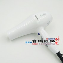 파이어 피닉스 Fire Phoenix 2000W 드라이기 무소음 무선 유선 저소음 가벼운 찬바람 괴물드라이기 차이슨 조용한 캠핑용 미용실 접이식 전문가용 드라이어, 흰색.