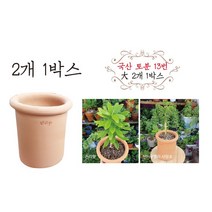 금란의 정원 국산토분 13번 대 2개