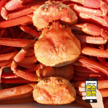 포항 대게 맛집 붉은 홍게 (영덕 울진 포항 연지 홍게 박달 홍게 3kg), (선물용) 아이로꾸 홍게 1마리