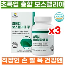 직장인 손 발 목 관절 영양제 보스웰리아 3개월 인도 산 보스웰리아 20 30 대 여자 남자 생일 선물 추천 뉴질랜드 초록 녹색 그린 입 잎 홍합 분말 히알루론산 비타민 B C