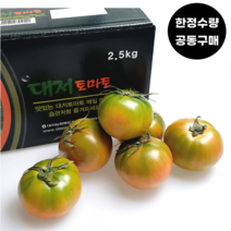 부산 짭짤이 대저토마토 고당도 대저짭짤이 토마토 2.5kg, 대저 토마토 2.5kg M-L