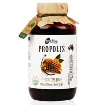 트루블루 프로폴리스 500mg x 600캡슐 코스트코, 상세페이지 참조, 상세페이지 참조, 600정