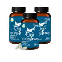 건강바름 콘드로이친 글루코사민정, 1개