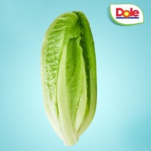 Dole 본사직영 통로메인1.5kg/알뜰형로메인 1kg 택1, 알뜰형로메인1kg
