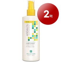 Andalou Naturals 안달로우네추럴 모발 두피관리 미디엄 홀드 선플라워 시트러스 헤어 스프레이 243ml 1팩, 2팩