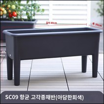 킹마이크로 플라스틱 수경재배 회색 항균 고족종 채소 화분/대 2세트 베란다 하이풋 종채 야채 식재용, 단품