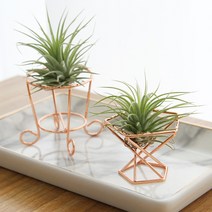 내일의공간 골드 메탈 이오난사화분 (티라이트홀더), 원형