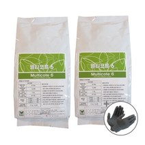 멀티코트 1kg 1+1 작업장갑 1SET 세트 6개월 완효성 지속성 비료 고추 정식 파구 처리 바사 코트 화분 화초 식물 영양제 다육 관엽 장미 감귤 딸기 과일나무 과수, 멀티코트 1kg 2개 + 작업장갑 1SET