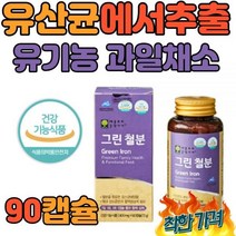임산부 철분 보충제 영양제 산모 90 배양물 전