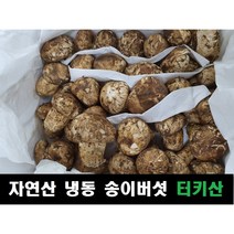 송이버섯 자연산 냉동 터키산, 1등급(15~25송이내외, 모양크기랜덤), 1kg