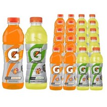 게토레이 오렌지&레몬 600ml X 각10개(총20개) 이온음료 스포츠음료 온동전후 수분섭취 갈증해소 음료수, 60개