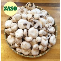 양송이 파지 못난이 비품 2kg 국내산 산지직송, 1개