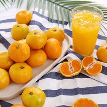 새콤달콤 돌담 가정용 하우스감귤 1kg 로얄과 8-12과(S-M), 단품