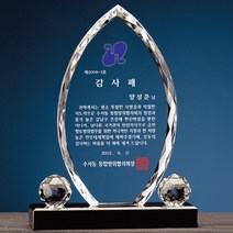 TAH625410감사패 퇴직기념패 공로패 송공패 선생님선물 재직 전역 P082