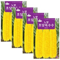 노랑 초당옥수수 씨앗 100립 옥수수씨, 4개